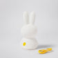 Espantacuco / Lámpara - Miffy shines lamp 22 cm