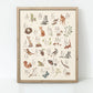 Lámina / poster - Nature alphabet