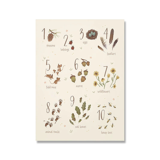 Lámina / poster - Nature numbers