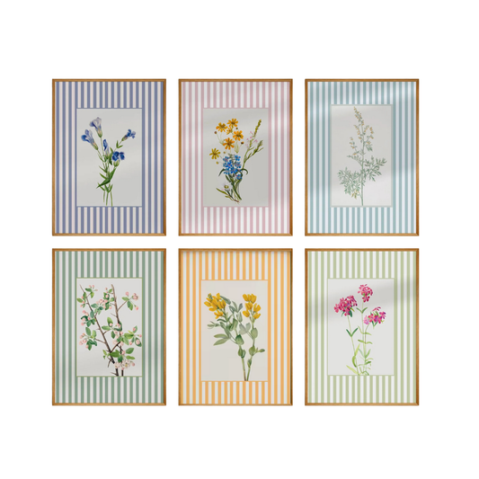 Lámina / poster - Flowers & Lines