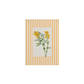 Lámina / poster - Flowers & Lines