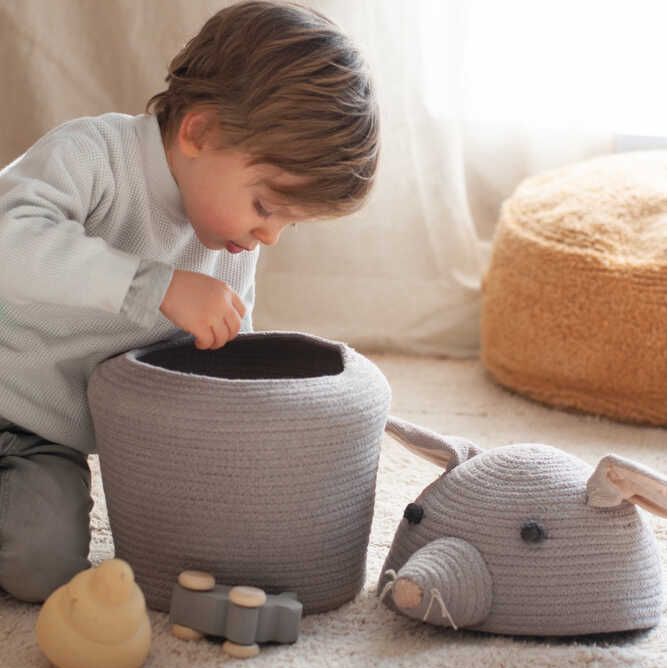 Canasto renata la rata