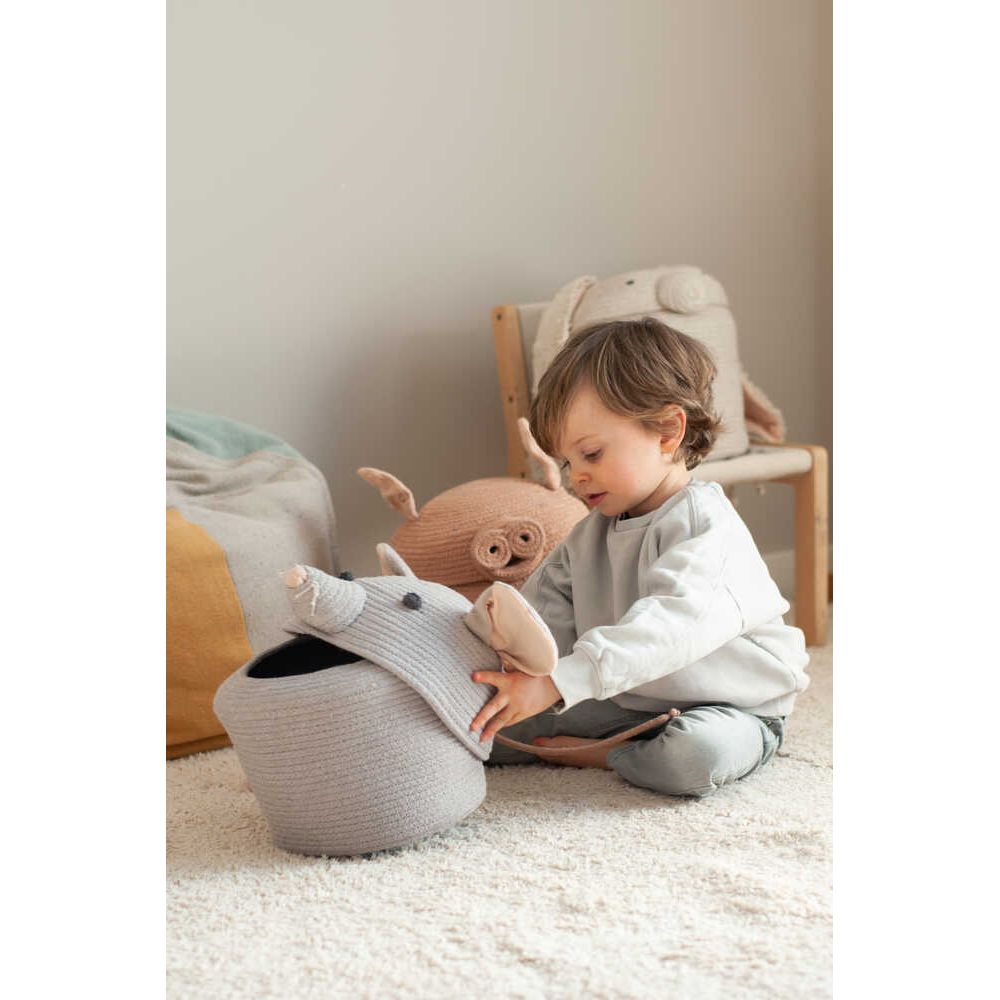 Canasto renata la rata