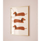 Lámina / poster - Perro salchicha