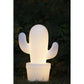 Lámpara cactus Outdoor y recargable
