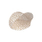 Carpa de playa pop up shelter anti UV - Sweet and sour