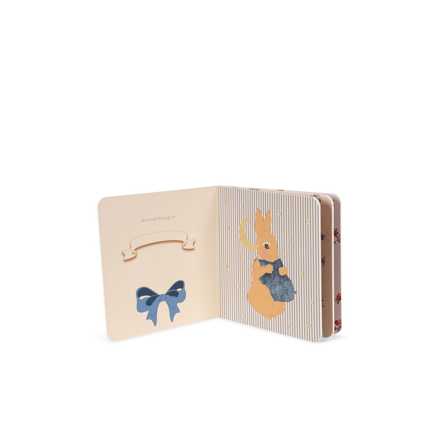 Libro touch and feel - Bear