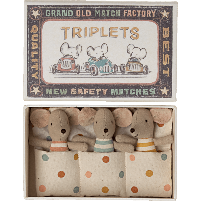 Ratoncitos - Triplets Baby mice in matchbox