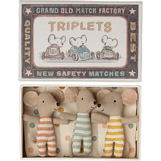 Ratoncitos - Triplets Baby mice in matchbox