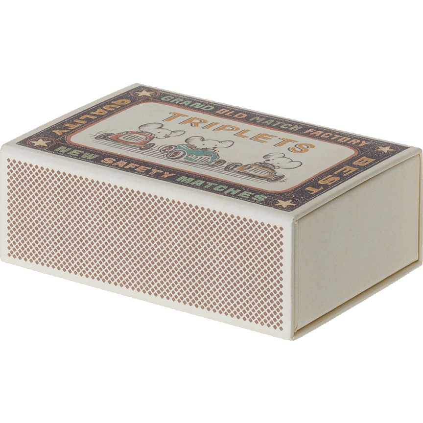 Ratoncitos - Triplets Baby mice in matchbox