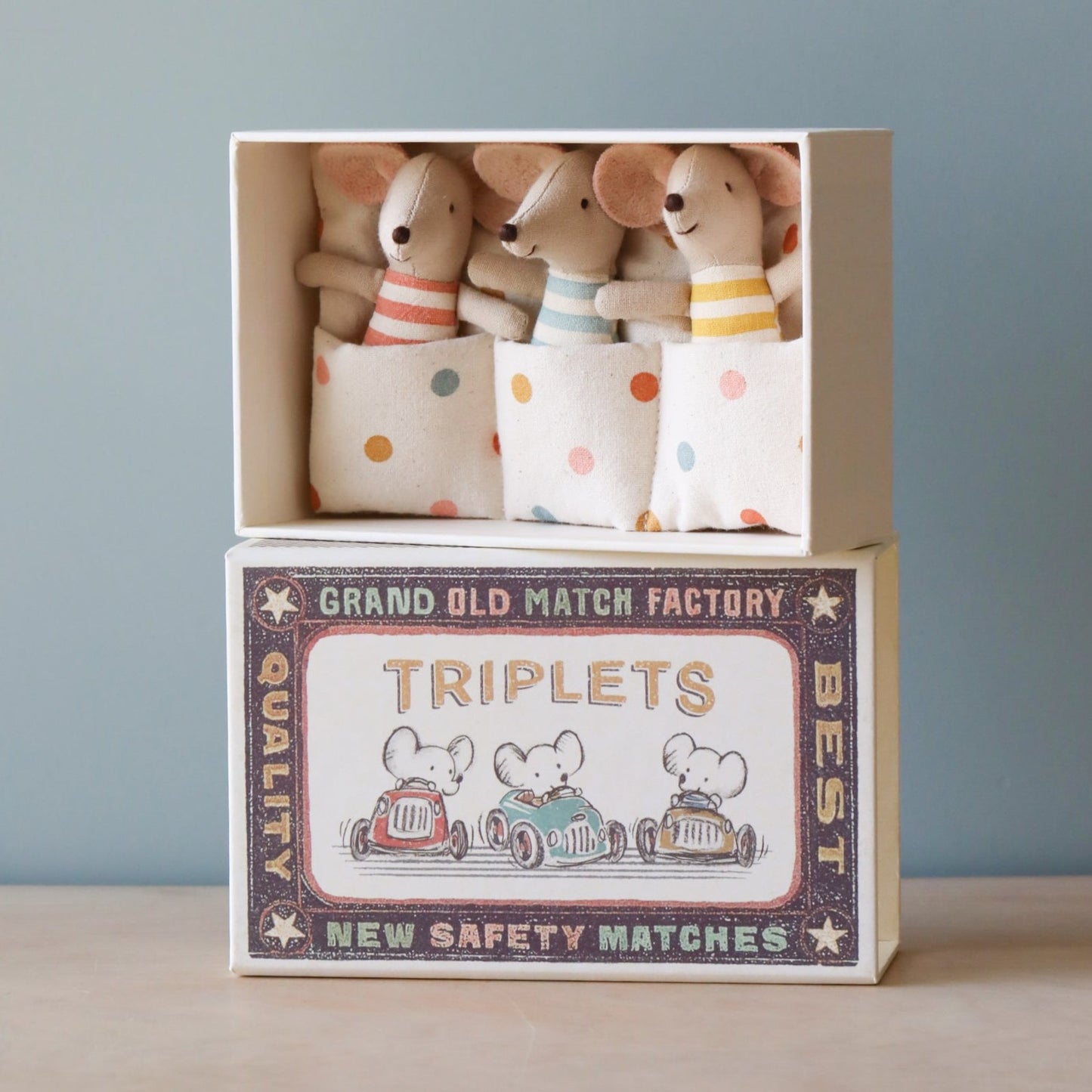 Ratoncitos - Triplets Baby mice in matchbox