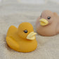Set 4 - Bath Time Ducks