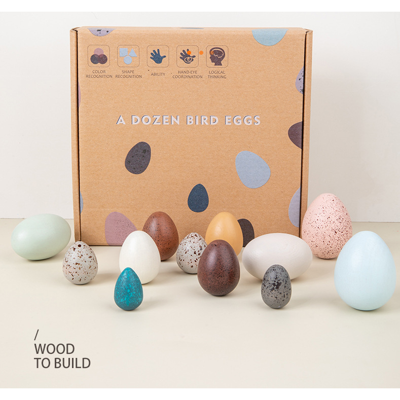 Set de huevitos de pajaro en una caja