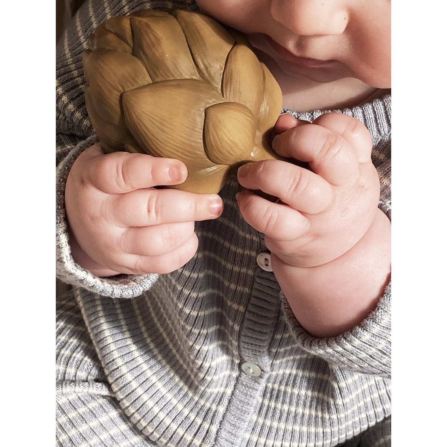 Mordedor Vegetables - Artichoke