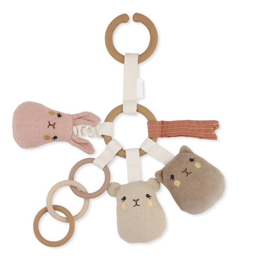 Activity Ring - Tiny Friends