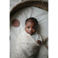 Swaddle Muselina - Dinosaurs