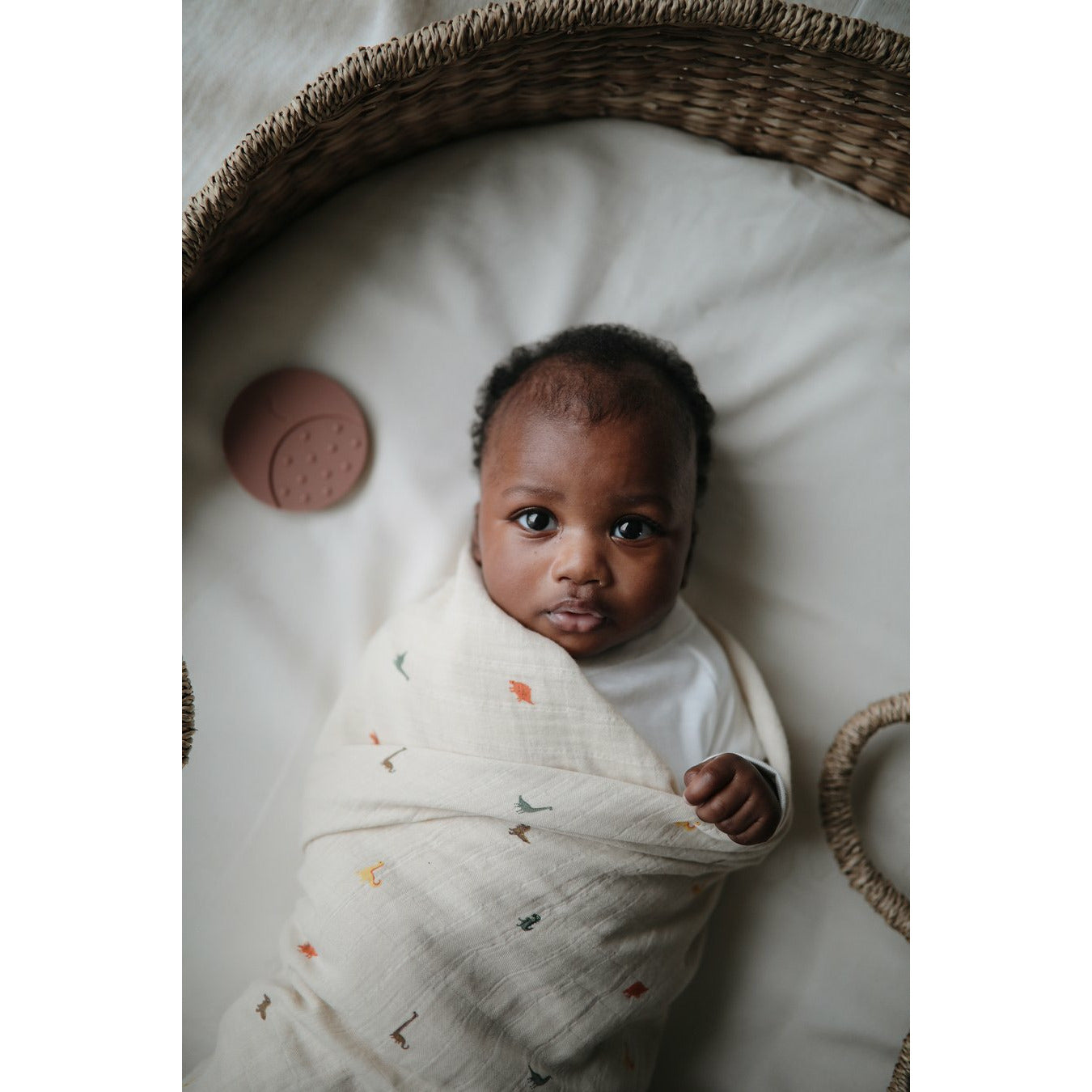 Swaddle Muselina - Dinosaurs