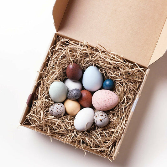 Set de huevitos de pajaro en una caja