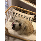 Cojin - Reserved For The Dog