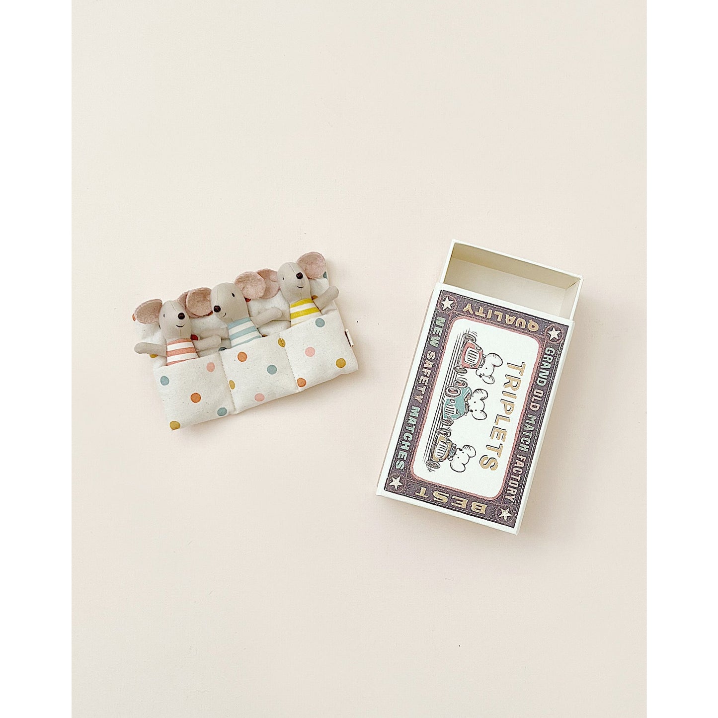 Ratoncitos - Triplets Baby mice in matchbox