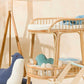Mudador Rattan