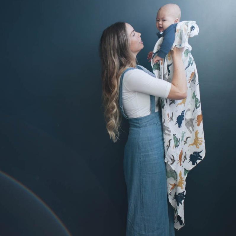 Swaddle - Dino Friends