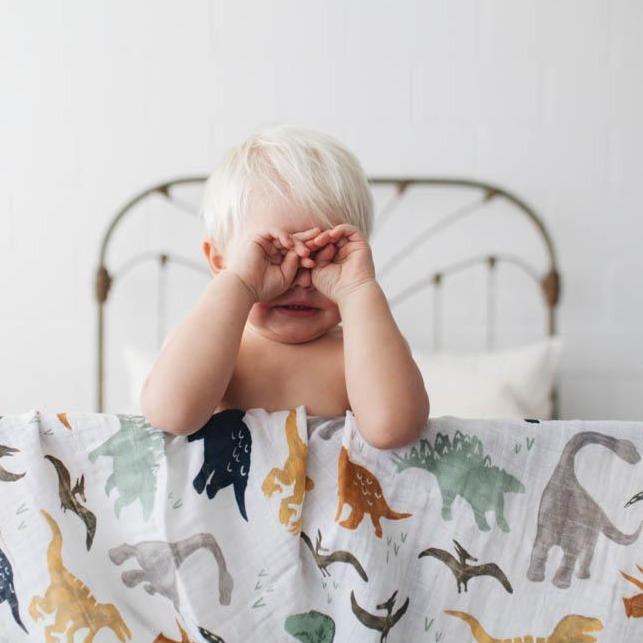 Swaddle - Dino Friends
