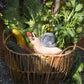 Peluche - Sussi Snail